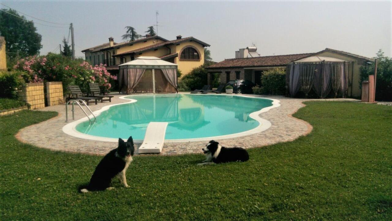 B&B Il Martin Pescatore Bagnolo San Vito ภายนอก รูปภาพ