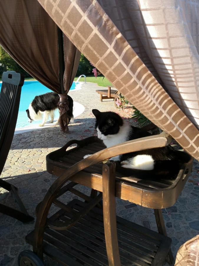 B&B Il Martin Pescatore Bagnolo San Vito ภายนอก รูปภาพ