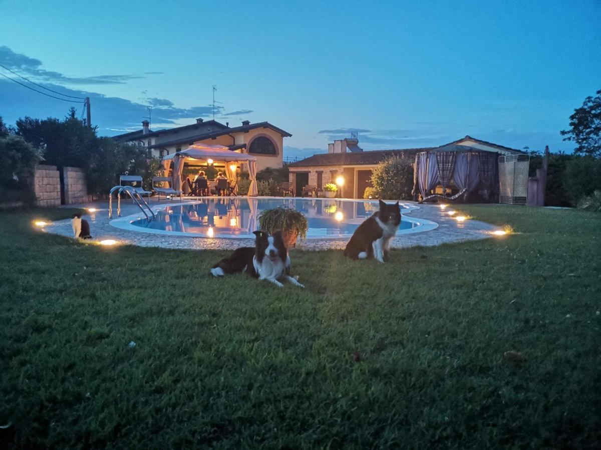 B&B Il Martin Pescatore Bagnolo San Vito ภายนอก รูปภาพ